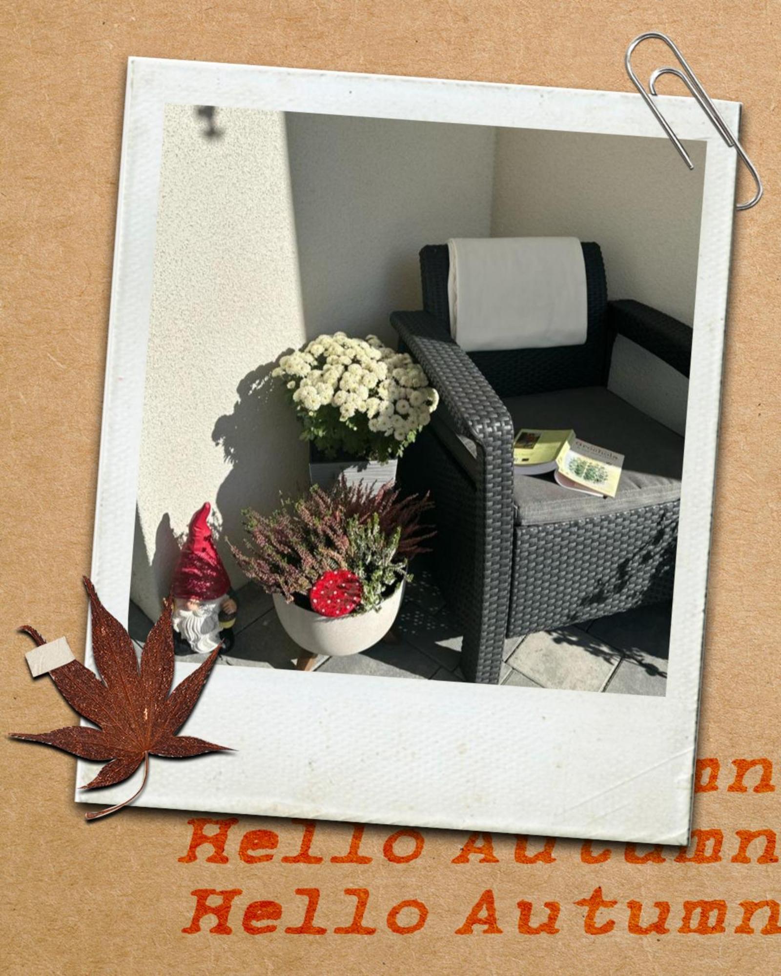 Solek Apartamenty I Pokoje Goscinne Mielno  Esterno foto