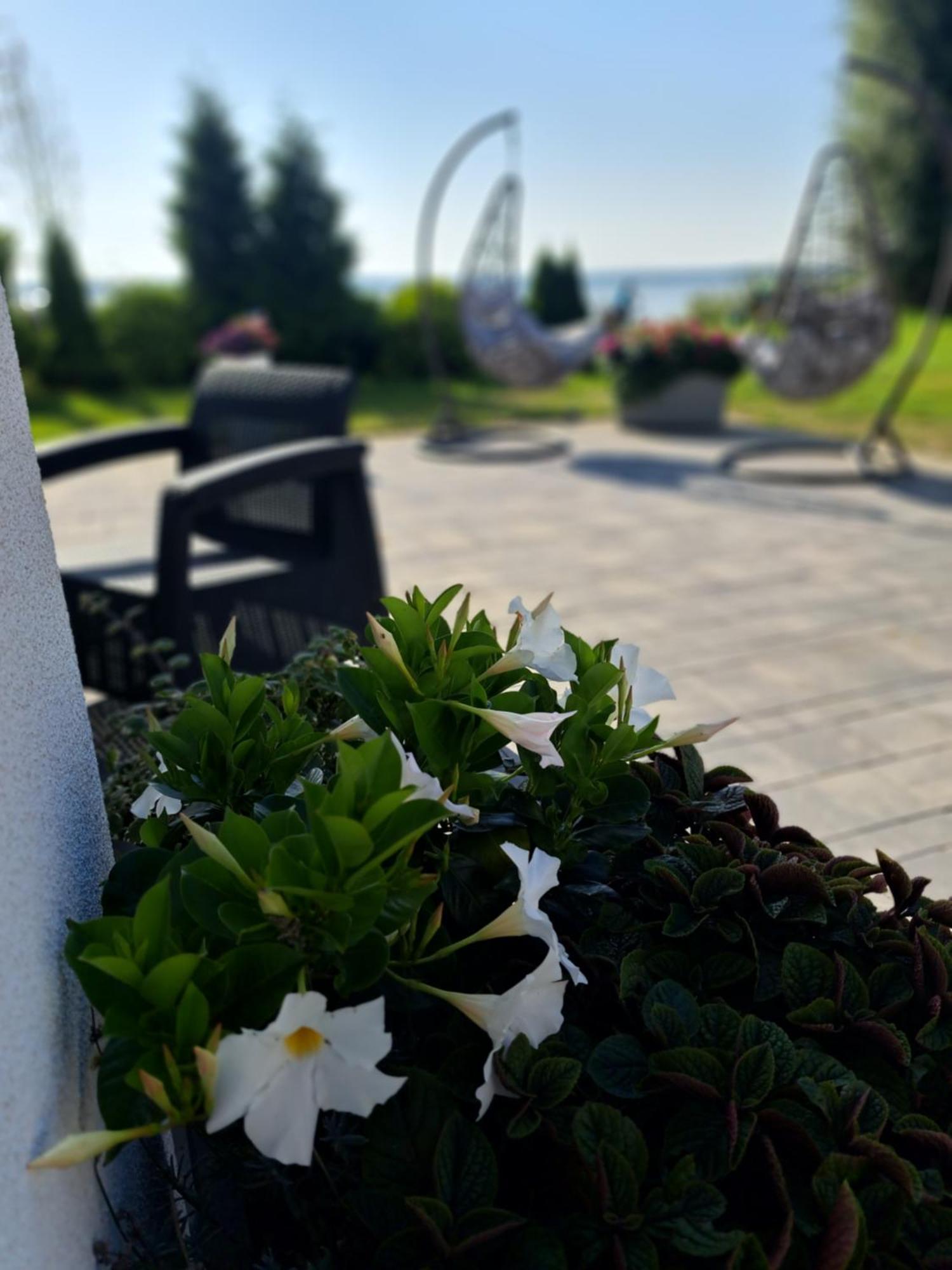 Solek Apartamenty I Pokoje Goscinne Mielno  Esterno foto